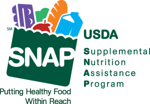 snap logo color snap logo color